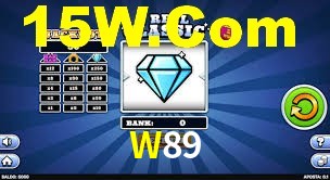 Programa VIP W89